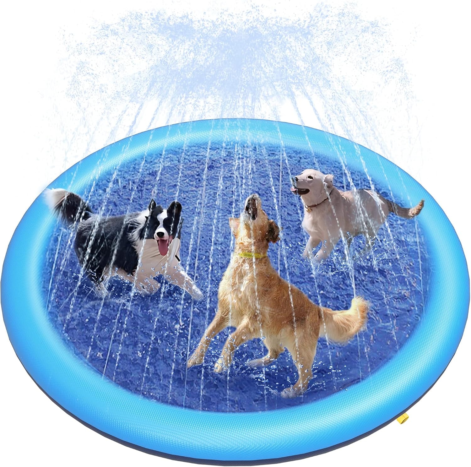 Dog Sprinkler Splash Pad